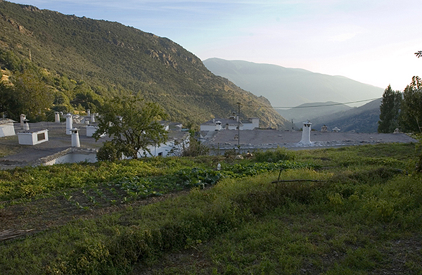 Market gardens in Bubion