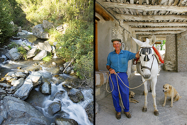 Capileira river | A local in the lower part of Capileira