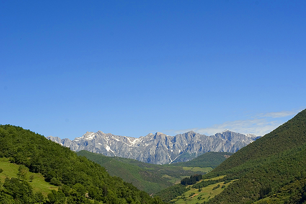 Picos de Europa