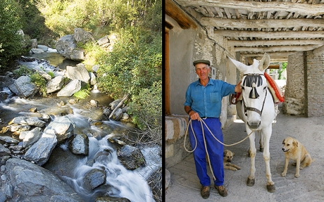 Capileira river | A local in the lower part of Capileira