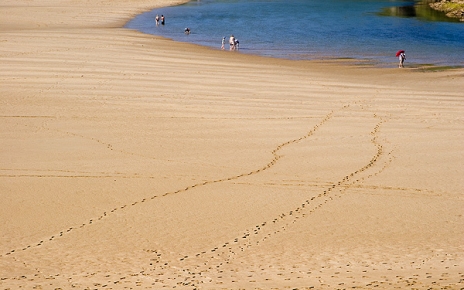Oyambre sandy beaches near Santander