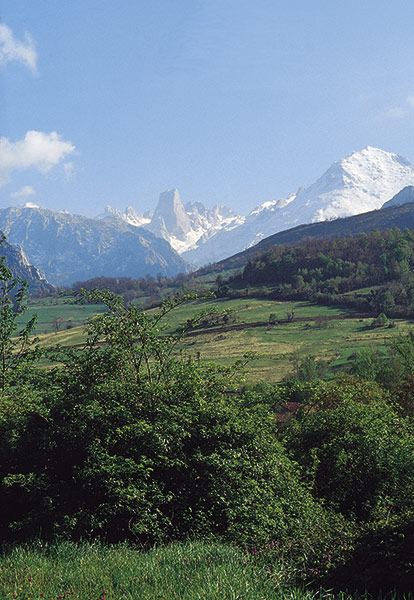 Cabrales region at Picos heart