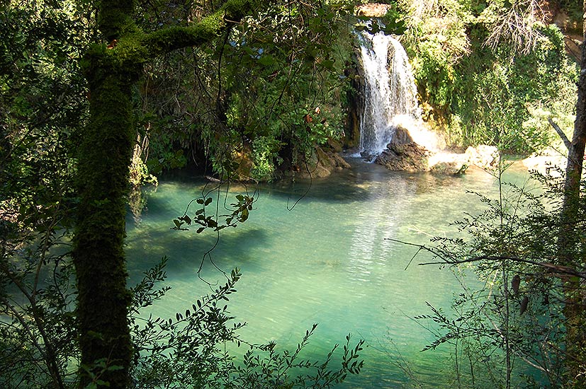 Wild swimming