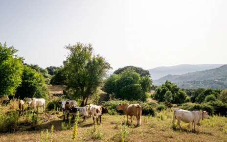 Esta finca va más allá de las zonas valladas